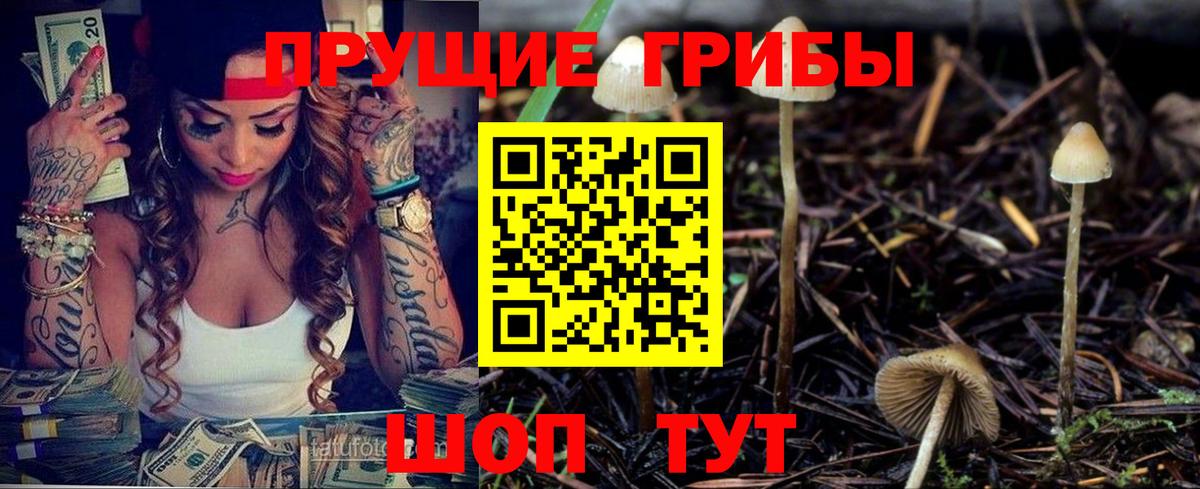 Чебоксары  Псилоцибиновые грибы Psilocybine cubensis  Вход с VPN 